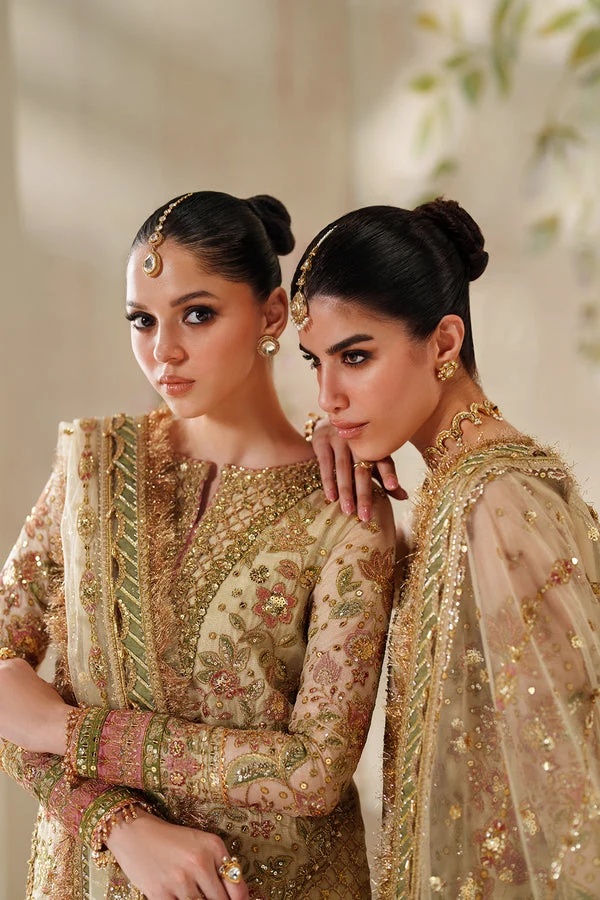 EMBROIDERED NET BAROUQE pakistani fashion outfit with coordinated…